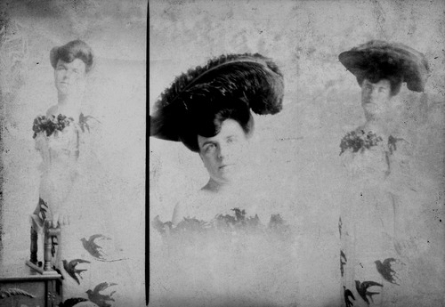 Click to see GP-1144 of Moore Glass Plate Collection (GP-)