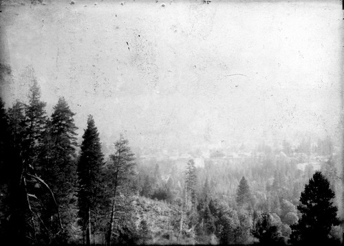 Click to see GP-1172 of Moore Glass Plate Collection (GP-)