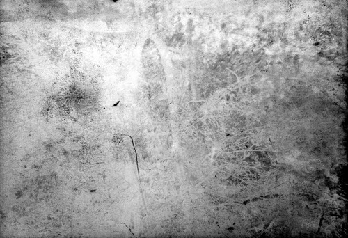 Click to see GP-1174 of Moore Glass Plate Collection (GP-)