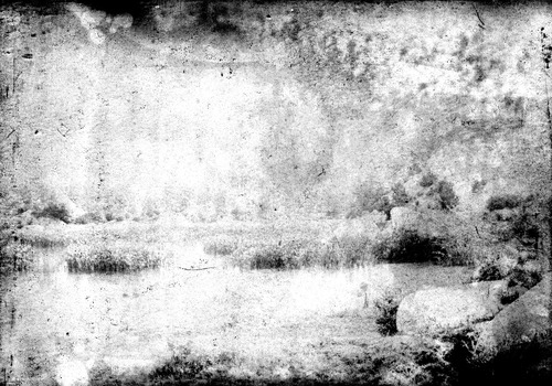 Click to see GP-1176 of Moore Glass Plate Collection (GP-)