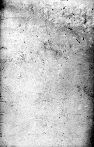 Click to see GP-1336 of Moore Glass Plate Collection (GP-)