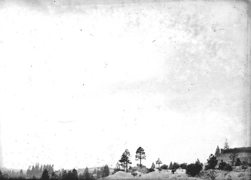 Click to see GP-1372 5X7 of Moore Glass Plate Collection (GP-)