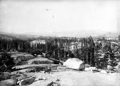 Click to see GP-1374 5X7 of Moore Glass Plate Collection (GP-)