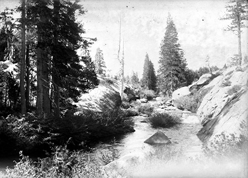 Click to see GP-1377 5X7 of Moore Glass Plate Collection (GP-)