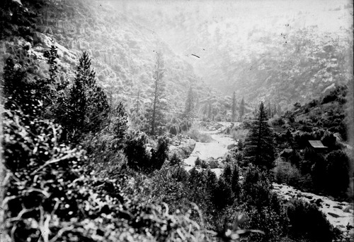 Click to see GP-1378 5X7 of Moore Glass Plate Collection (GP-)