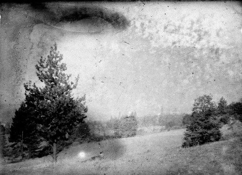 Click to see GP-1379 5X7 of Moore Glass Plate Collection (GP-)
