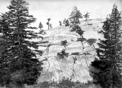 Click to see GP-1384 5X7 of Moore Glass Plate Collection (GP-)