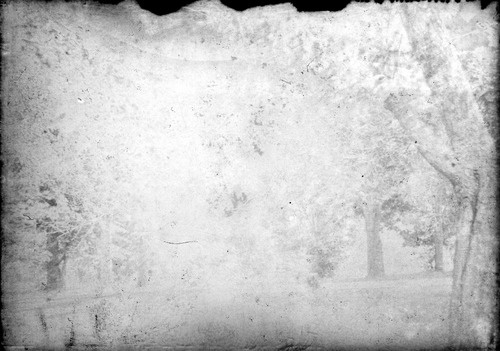 Click to see GP-1385 5X7 of Moore Glass Plate Collection (GP-)