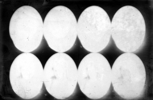 Click to see GP-1486 of Moore Glass Plate Collection (GP-)