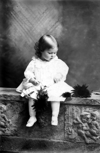 Click to see GP-1536 of Moore Glass Plate Collection (GP-)