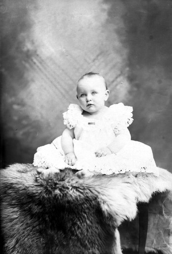 Click to see GP-1564 of Moore Glass Plate Collection (GP-)