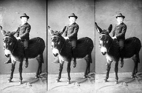 Click to see GP-1683 of Moore Glass Plate Collection (GP-)