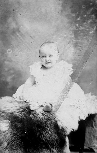Click to see GP-1685 of Moore Glass Plate Collection (GP-)