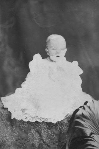 Click to see GP-1791 of Moore Glass Plate Collection (GP-)