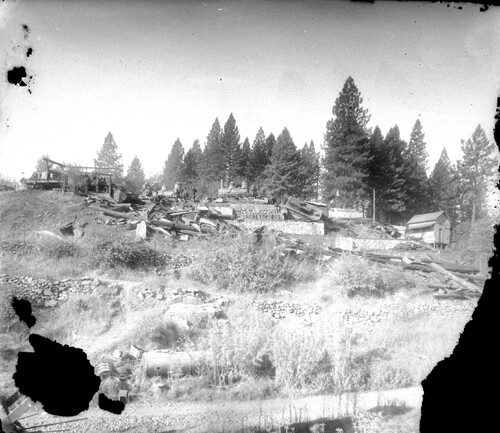 Click to see GP-COMSTOCK 2 of Comstock Glass Plate Collection (GP-COMSTOCK)