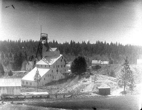 Click to see GP-COMSTOCK 4 of Comstock Glass Plate Collection (GP-COMSTOCK)