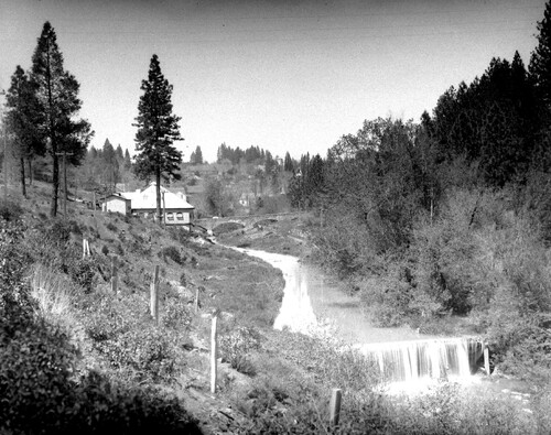 Click to see GP-COMSTOCK 6 of Comstock Glass Plate Collection (GP-COMSTOCK)
