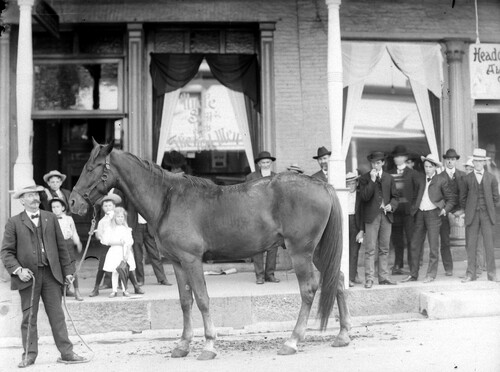 Click to see GP-COMSTOCK 8 of Comstock Glass Plate Collection (GP-COMSTOCK)