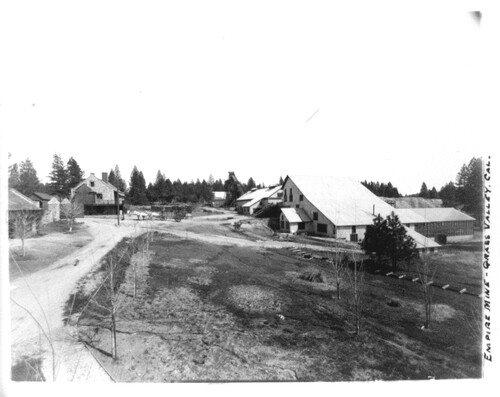 Click to see GP-COMSTOCK 12 of Comstock Glass Plate Collection (GP-COMSTOCK)