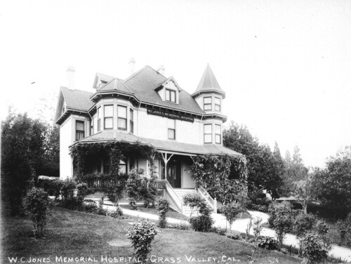 Click to see GP-COMSTOCK 13 of Comstock Glass Plate Collection (GP-COMSTOCK)