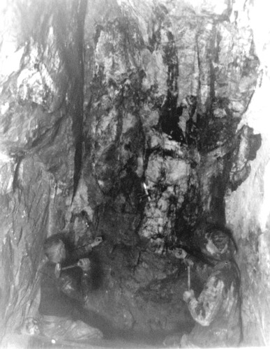 Click to see GP-COMSTOCK 18 of Comstock Glass Plate Collection (GP-COMSTOCK)
