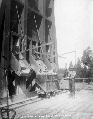 Click to see GP-COMSTOCK 27 of Comstock Glass Plate Collection (GP-COMSTOCK)