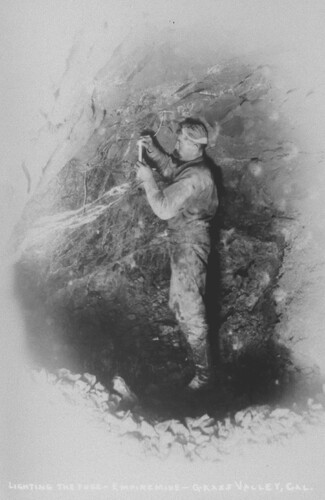 Click to see GP-COMSTOCK 28 of Comstock Glass Plate Collection (GP-COMSTOCK)