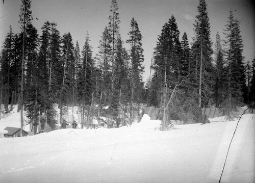 Click to see GP-COMSTOCK 29 of Comstock Glass Plate Collection (GP-COMSTOCK)