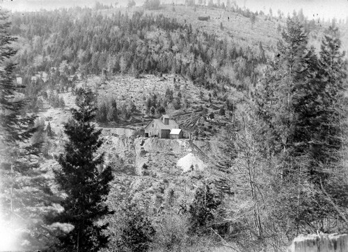 Click to see GP-COMSTOCK 38 of Comstock Glass Plate Collection (GP-COMSTOCK)