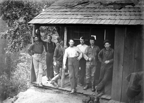 Click to see GP-COMSTOCK 41 of Comstock Glass Plate Collection (GP-COMSTOCK)