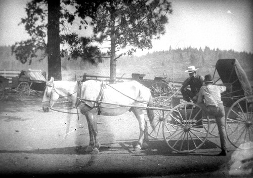 Click to see GP-COMSTOCK 42 of Comstock Glass Plate Collection (GP-COMSTOCK)