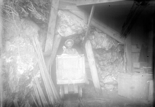 Click to see GP-COMSTOCK 48 of Comstock Glass Plate Collection (GP-COMSTOCK)