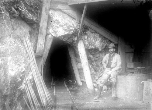 Click to see GP-COMSTOCK 49 of Comstock Glass Plate Collection (GP-COMSTOCK)
