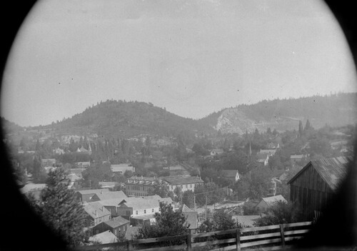Click to see GP-COMSTOCK 54 of Comstock Glass Plate Collection (GP-COMSTOCK)
