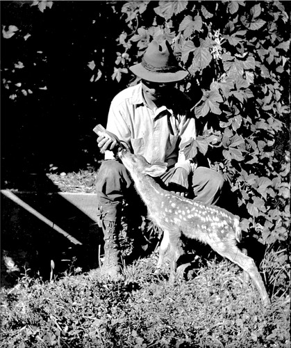 Click to see GP-DAVIS COLLECTION-2 of Davis Glass Plate Collection (GP-DAVIS)