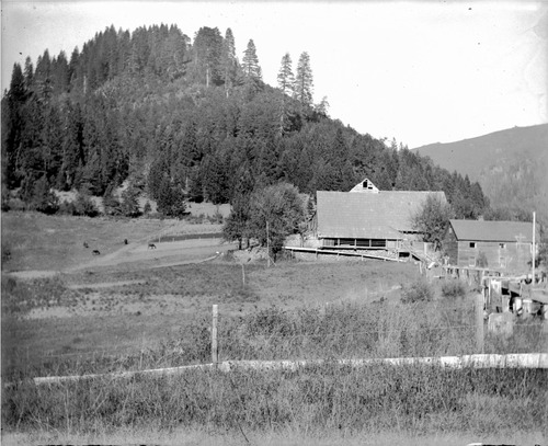 Click to see GP-DAVIS COLLECTION-3 of Davis Glass Plate Collection (GP-DAVIS)