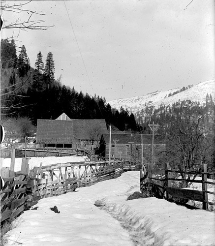 Click to see GP-DAVIS COLLECTION-11 of Davis Glass Plate Collection (GP-DAVIS)