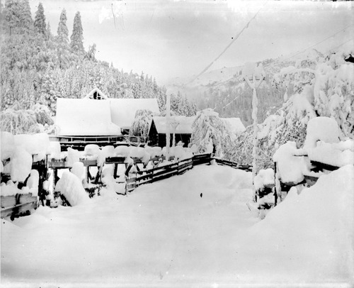 Click to see GP-DAVIS COLLECTION-12 of Davis Glass Plate Collection (GP-DAVIS)