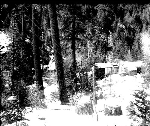Click to see GP-DAVIS COLLECTION-13 of Davis Glass Plate Collection (GP-DAVIS)