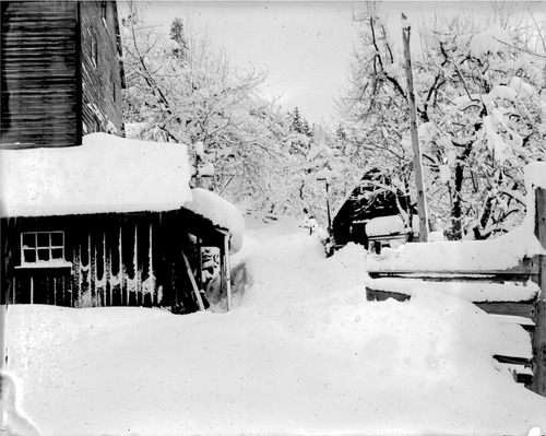 Click to see GP-DAVIS COLLECTION-14 of Davis Glass Plate Collection (GP-DAVIS)