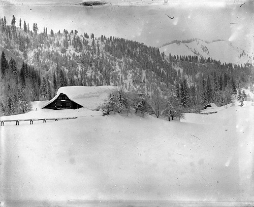 Click to see GP-DAVIS COLLECTION-15 of Davis Glass Plate Collection (GP-DAVIS)