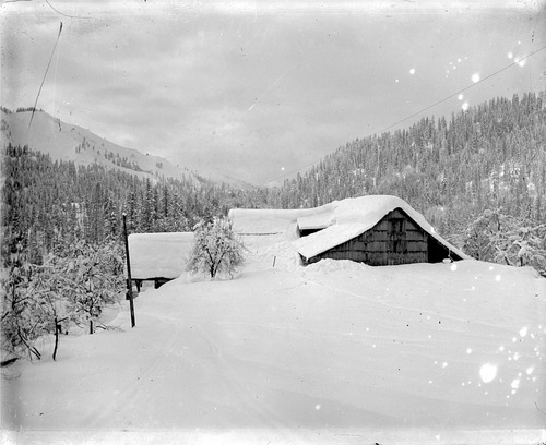 Click to see GP-DAVIS COLLECTION-16 of Davis Glass Plate Collection (GP-DAVIS)