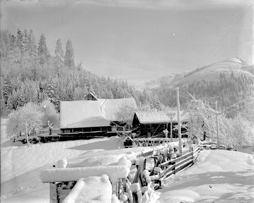 Click to see GP-DAVIS COLLECTION-17 of Davis Glass Plate Collection (GP-DAVIS)