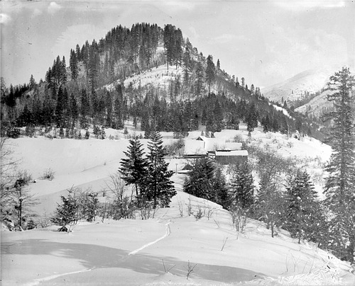 Click to see GP-DAVIS COLLECTION-18 of Davis Glass Plate Collection (GP-DAVIS)