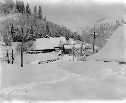 Click to see GP-DAVIS COLLECTION-19 of Davis Glass Plate Collection (GP-DAVIS)