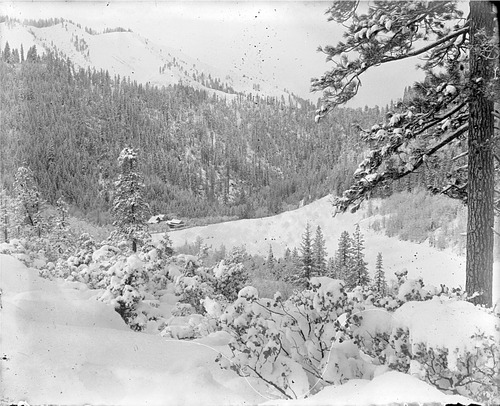 Click to see GP-DAVIS COLLECTION-21 of Davis Glass Plate Collection (GP-DAVIS)