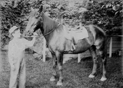 Click to see GP-FRANK 4 of Frank Glass Plate Collection (GP-FRANK)