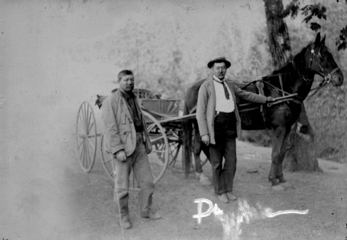 Click to see GP-FRANK 8 of Frank Glass Plate Collection (GP-FRANK)