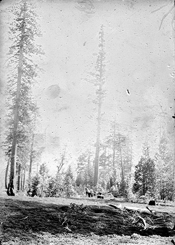 Click to see GP-FRANK 19 of Frank Glass Plate Collection (GP-FRANK)