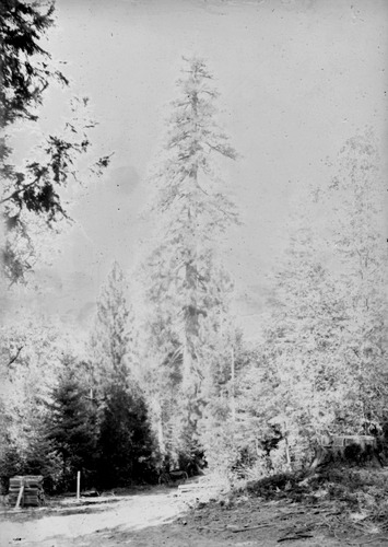 Click to see GP-FRANK 23 of Frank Glass Plate Collection (GP-FRANK)
